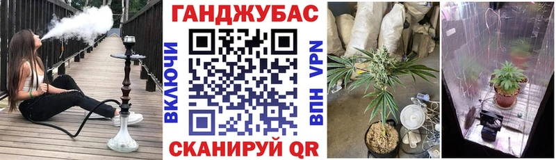 Псилоцибиновые грибы Волхов