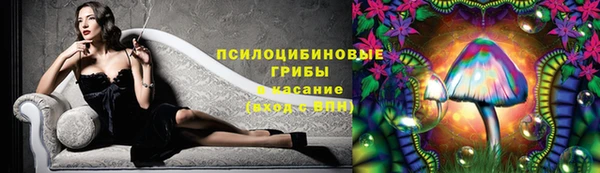 крисы Алексин