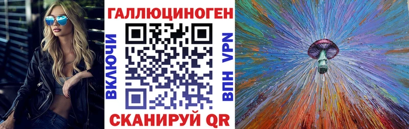 закладки Волхов Галлюциногенные грибы мицелий